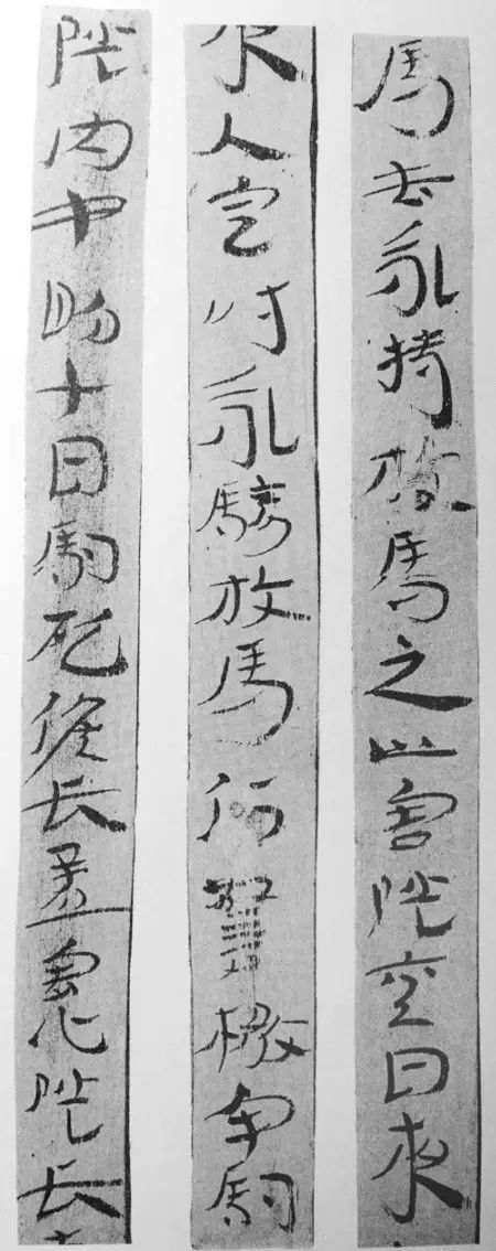 武帝日常生活_武帝的日常修炼_武帝的生活小技巧