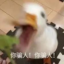 足球世界杯谁得冠军了啊_足球杯冠军是谁_世界足球杯的冠军奖杯叫什么