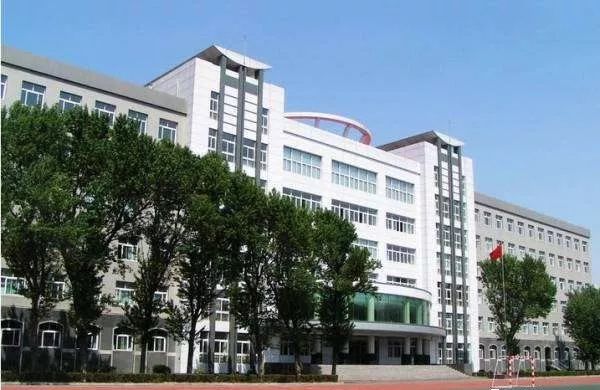 沈阳足球队历史_历届沈阳队足球队员简介_2018年沈阳足球冠军