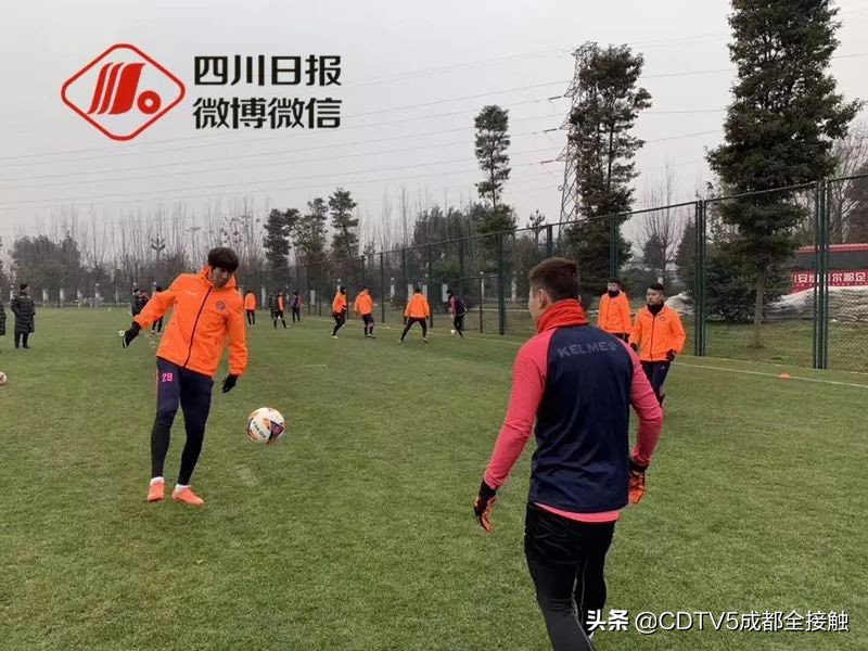 蒲江篮球联赛冠军有哪些_浦江篮球比赛_篮球联赛冠军蒲江有几个