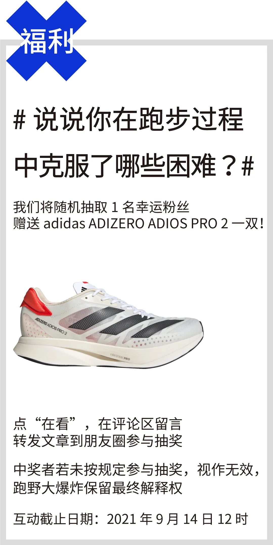 奥运游泳马拉松冠军_马拉松游泳奥运冠军是谁_马拉松游泳奥运冠军奖金多少