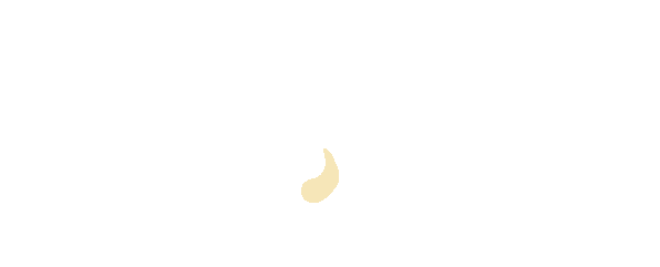 足球杯冠军表历史世界纪录_世界杯足球历史冠军表_足球杯历届冠军