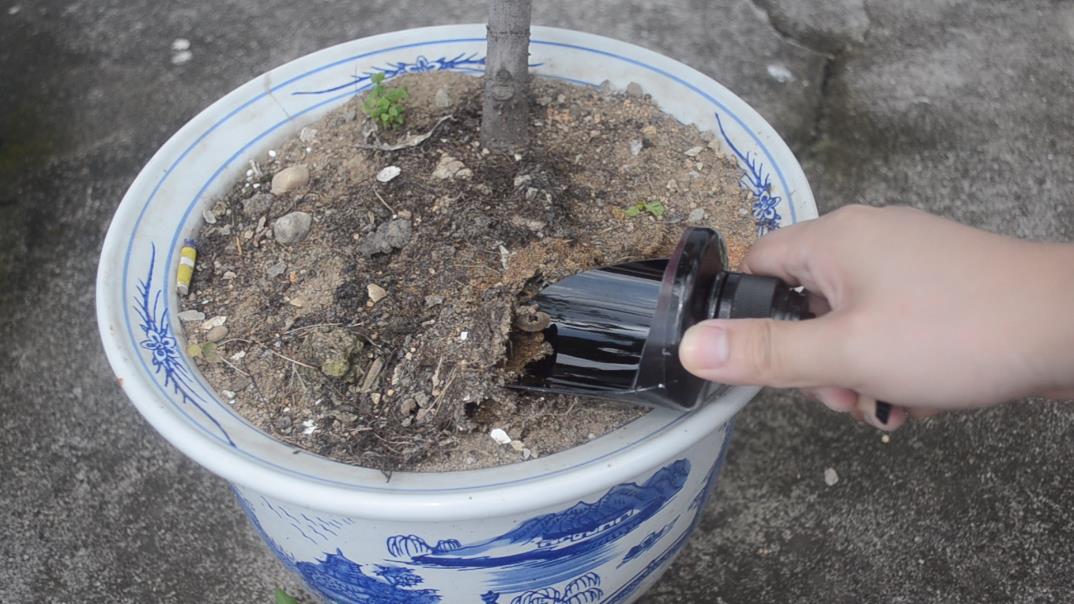 关于刀和瓶子的生活小技巧_用塑料瓶做刀_瓶子怎么切