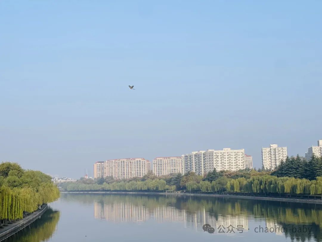 马拉松迷你跑多远_迷你马拉松跑多久_迷你马拉松是多远