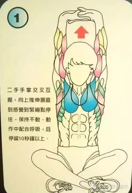 篮球热身技巧视频_篮球训练热身动作_篮球技巧热身