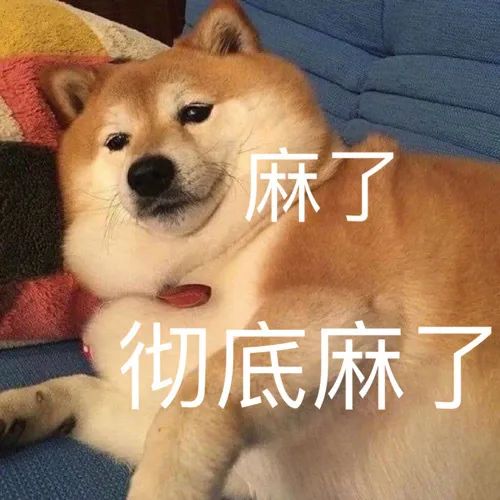 举重冠军情侣关系不好_举重cp_举重冠军的爱情