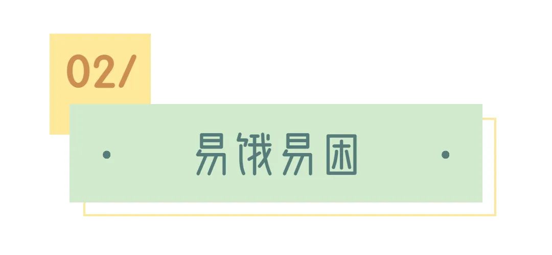 举重cp_举重冠军的爱情_举重冠军情侣关系不好