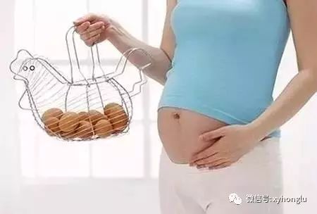 常识鸡蛋基本结构图_鸡蛋的百科知识_关于鸡蛋的基本常识