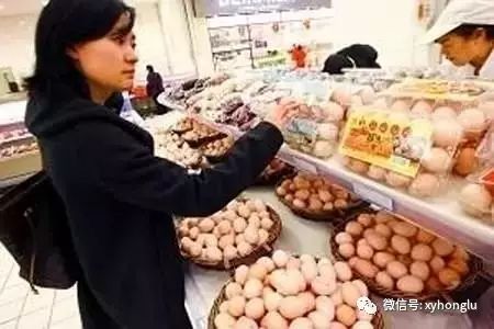 鸡蛋的百科知识_常识鸡蛋基本结构图_关于鸡蛋的基本常识