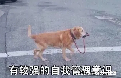 亚健康怎么样_亚亚健康_亚健康那些事