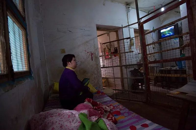 生活谣言的例子_百科谣言生活小说阅读_生活小百科谣言