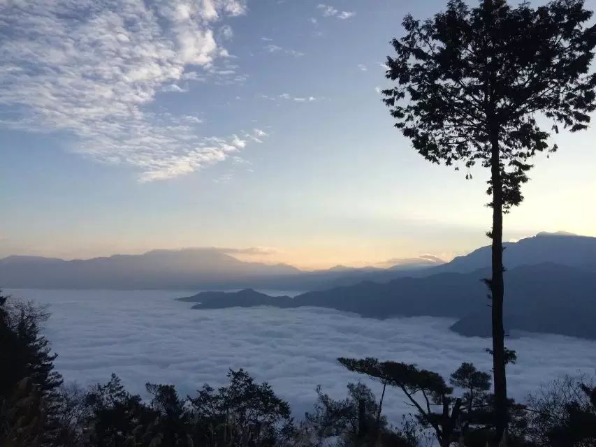 游泳拍照如何摆姿势_北京游泳拍照技巧女生_拍游泳照片参数设置