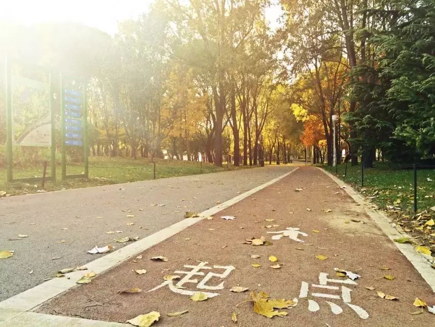 游泳拍照如何摆姿势_北京游泳拍照技巧女生_拍游泳照片参数设置