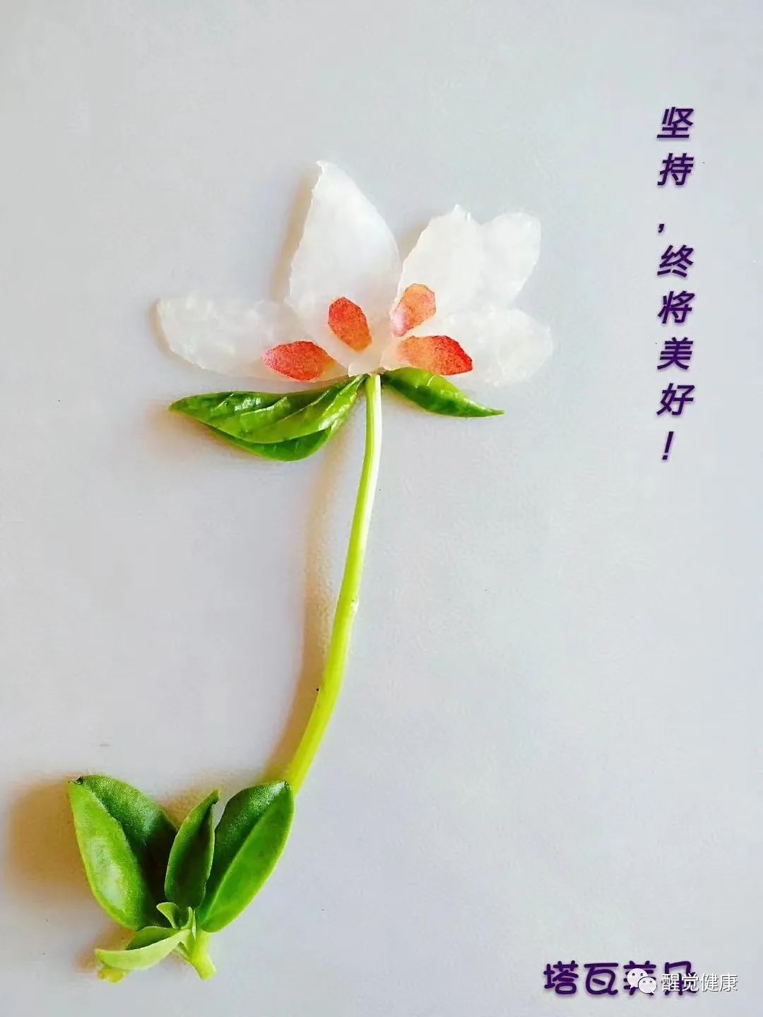 癌症的结节是什么意思_什么是癌症结疗_癌症和生活方式结缘有关吗