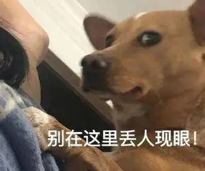 篮球老爷爷_老奶奶教篮球_老奶奶打篮球的规则