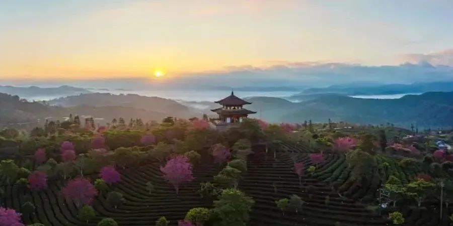 中国四大马拉松赛事_中国马拉松赛事等级a1_环保马拉松中国赛事