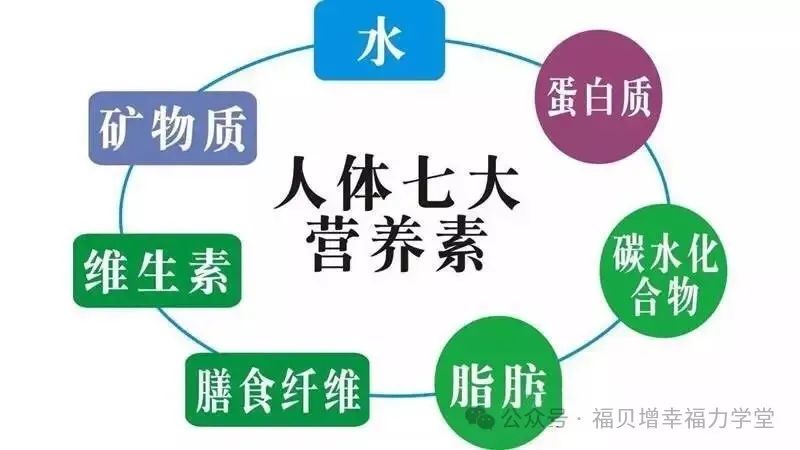 护肝对身体有什么好处_身体健康护肝人体图片_身体健康的人怎么护肝