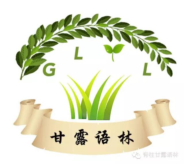 运动对腰椎_腰椎运动康复训练_腰椎运动操