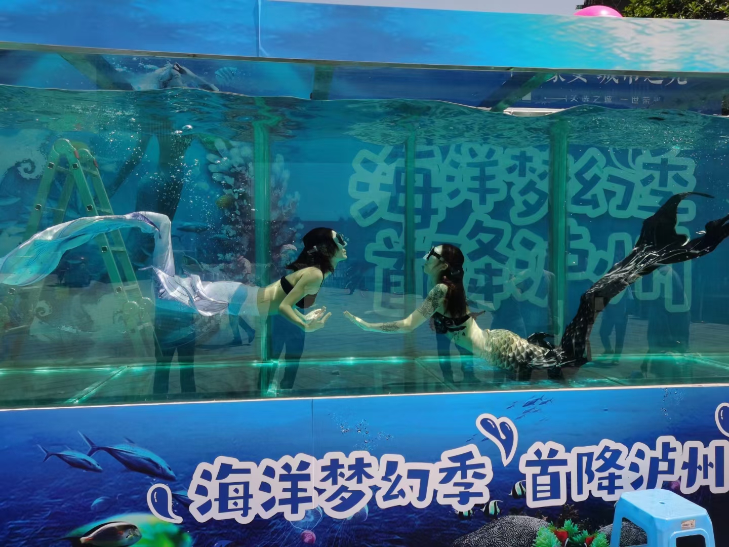 美人鱼表演游泳技巧_游泳美人鱼教学_游泳美人鱼技巧表演图片