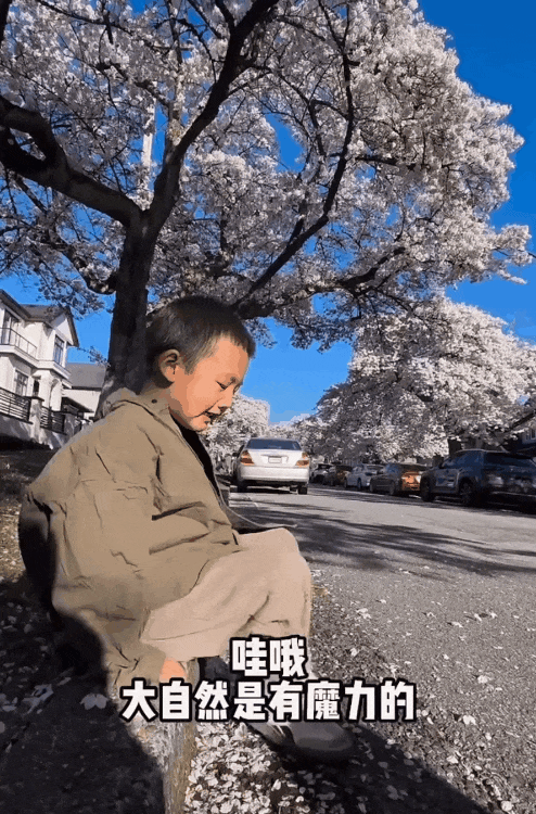 足球规则新手入门_足球规则新手_想学足球规则怎么学好