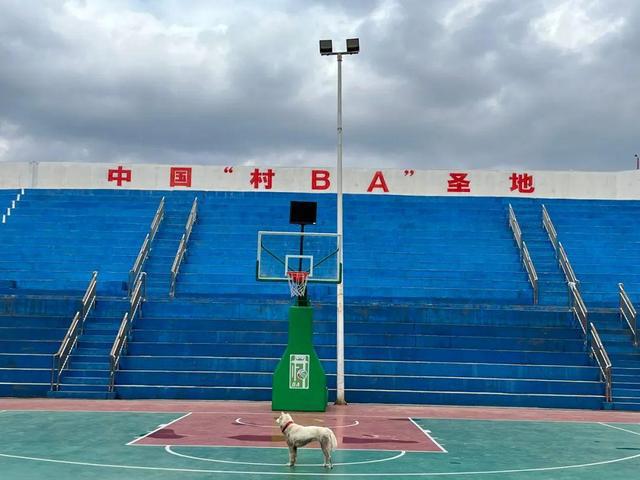 贵州篮球比赛2021_篮球贵州决赛赛冠军是哪个队_贵州篮球赛半决赛冠军是谁