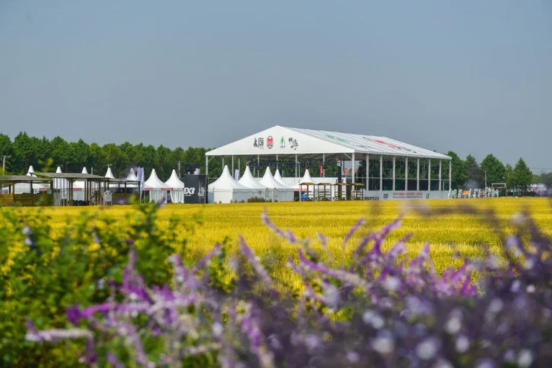 篮球大师冠军集结_集结篮球大师冠军多少钱_集结篮球大师冠军怎么获得