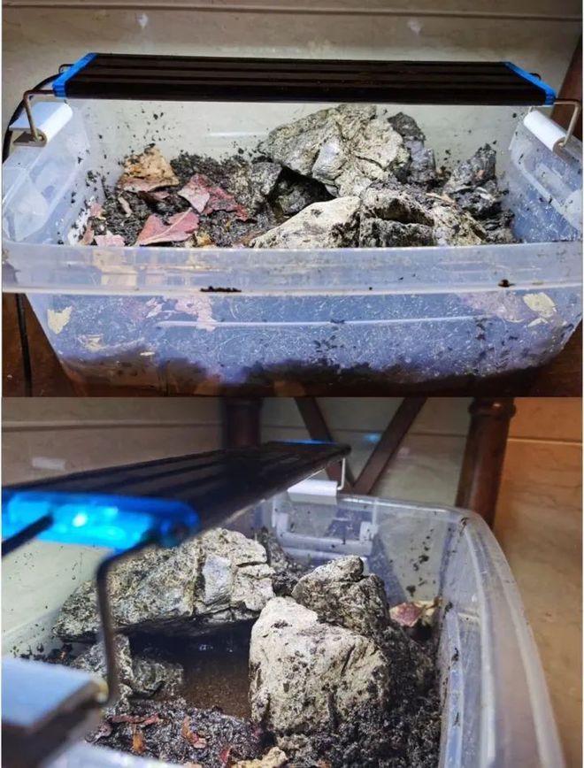 饲养标准的基本原则_常识饲养基本知识_如果饲养的基本常识