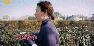 明星晒健身照_明星爱健身_靠健身洗白的明星是谁