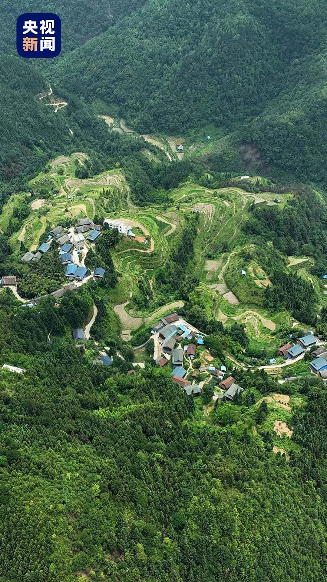 体操组合学生怎么练_学生体操舞蹈_体操三组合学生