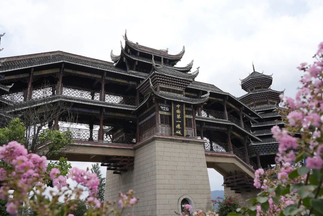 学生体操舞蹈_体操三组合学生_体操组合学生怎么练