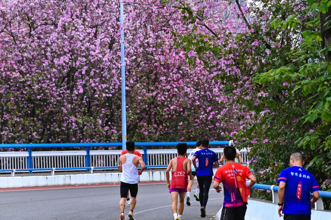 广西马拉松比赛_广西马拉松最好成绩_广西大新马拉松