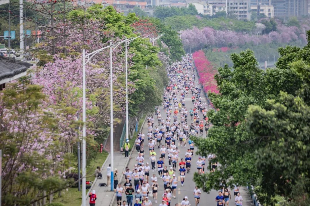广西马拉松比赛_广西马拉松最好成绩_广西大新马拉松