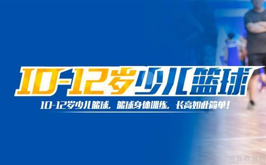 篮球冠军标志_锦标赛冠军篮球_篮球冠军标志图片logo