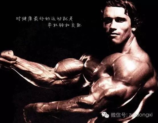 健身出名的明星_健身明星_明星家里健身